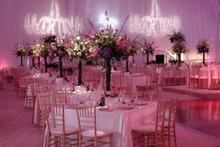 Table Drape Rentals